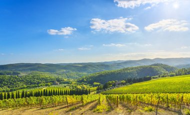 Bir Radda in Chianti bağ ve panorama adlı günbatımı. Toskana, İtalya