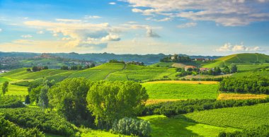 Langhe üzüm bağları günbatımı manzarası, Roddi köyü, Piedmont, İtalya