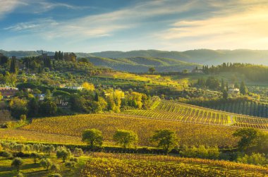 Panzano Chianti bağ ve panorama adlı günbatımı. Toskana, Ita