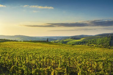 Panzano Chianti bağ ve panorama adlı günbatımı. Toskana, Ita