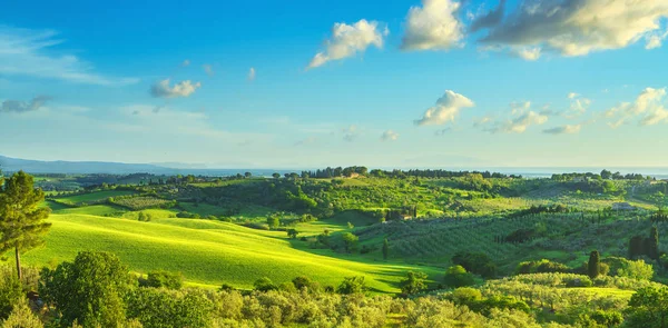 Maremma kırsal, Bibbona ve Casale Marittimo Sunset Landsca — Stok fotoğraf