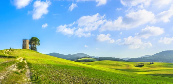 Toscana, paisagem de Maremma. Velho moinho de vento e árvores no topo do — Fotografia de Stock