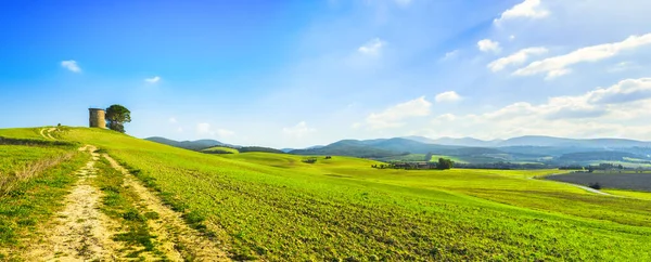 Toskánsko, krajina Maremma. Starý větrný mlýn a stromy na vrcholu — Stock fotografie