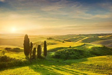 Toskana, kırsal günbatımı manzara. Servi ağaçları, yeşil alan, güneş ışığı ve bulut. Volterra, İtalya, Europe.