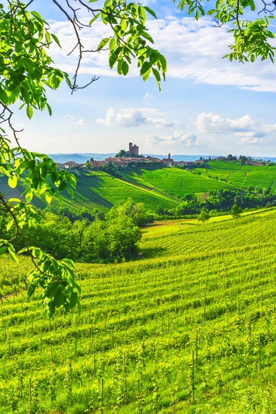 Vinhas Langhe Panorama Pôr Sol Serralunga Alba Unesco Site Piemonte — Fotografia de Stock