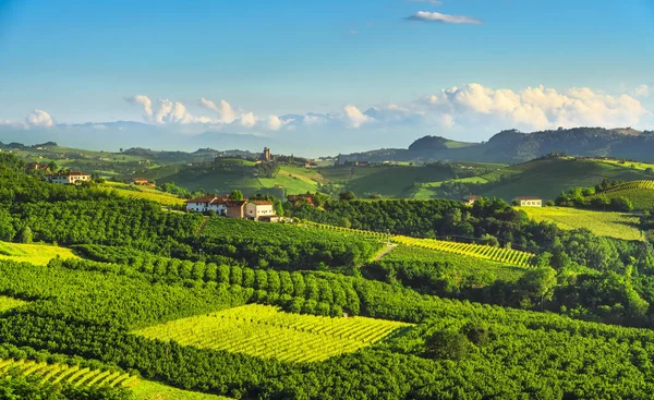 Ланґе Виноградники Вирощування Каменів Serralunga Alba Unesco Site Piedmont Northern — стокове фото