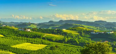 Langhe üzüm bağları ve fındık ağacı yetiştirme, Serralunga d Alba, Unesco Sitesi, Piedmont, Kuzey İtalya.
