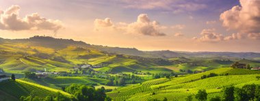 Langhe üzüm bağları günbatımı manzarası, Barolo ve La Morra, Unesco Sitesi, Piedmont, Kuzey İtalya, Avrupa.