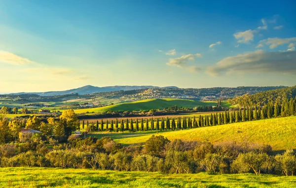 Zonsondergang Landschap Maremma Platteland Rollende Heuvels Cipressen Casale Marittimo Toscane — Stockfoto
