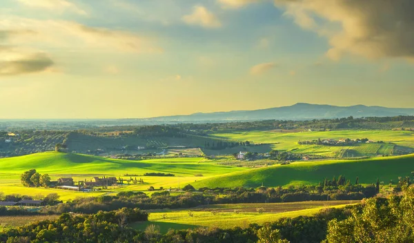 Paisagem Pôr Sol Campo Maremma Colinas Árvores Bibbona Toscana Itália — Fotografia de Stock