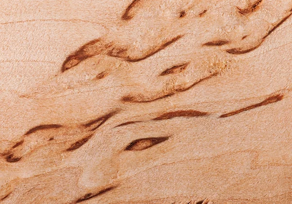 Background of birch wood, texture birch wood. Stock Photo