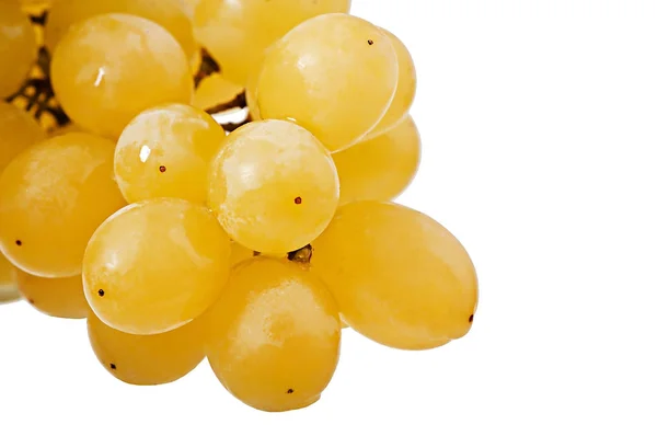 Grapes isolated on white background, fruits. — Stock Photo, Image
