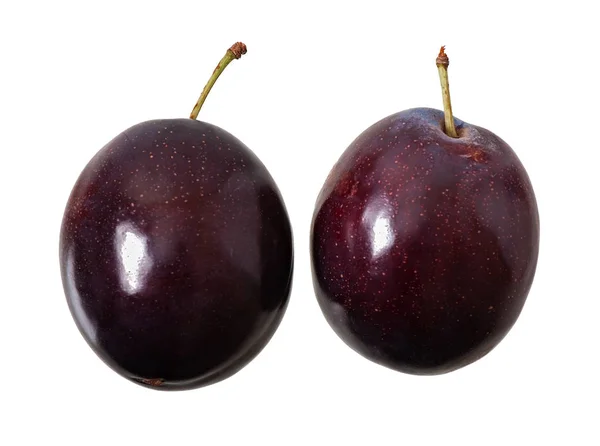 Deux prunes isolées sur fond blanc — Photo
