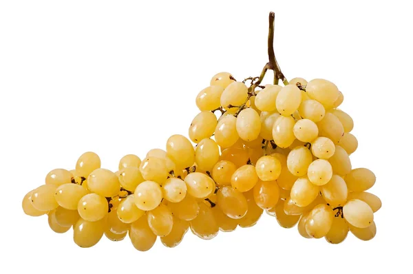 白色背景，水果一个孤立的葡萄 — 图库照片