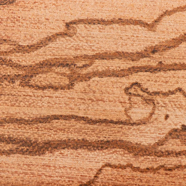 Struttura del legno, sfondo della struttura del legno, motivo della struttura del legno . — Foto Stock