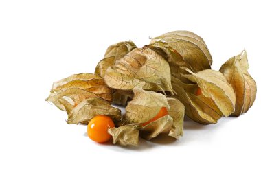 beyaz arkaplanda izole edilmiş olgun bitki örtüsü.