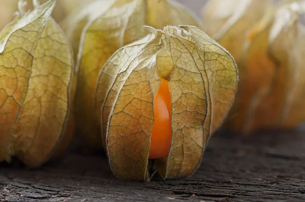 Physalis-egy régi fából készült háttér. — Stock Fotó