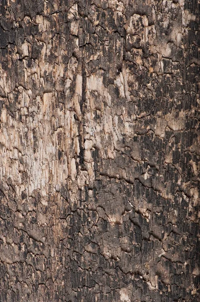 Fundo de madeira velha, textura madeira velha. Foco seletivo . — Fotografia de Stock