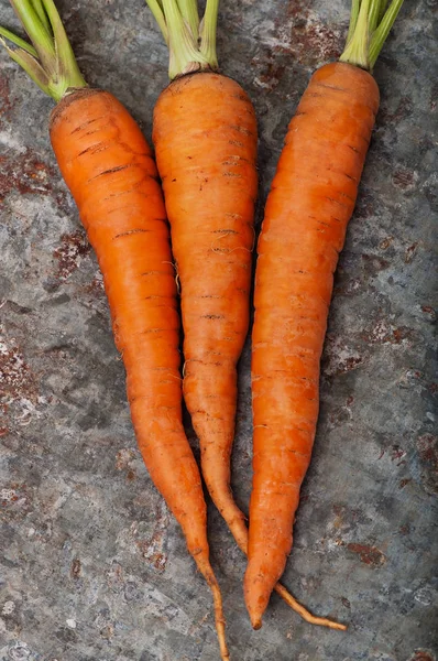 Zanahorias dulces maduras sobre un fondo de hierro viejo, vista superior . —  Fotos de Stock