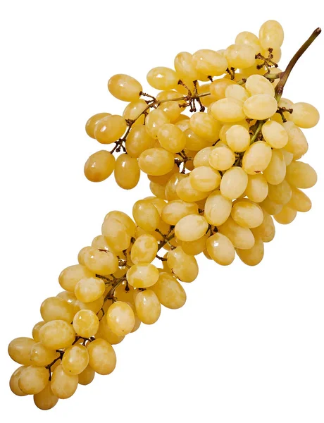 Sweet Licht Druiven Geïsoleerd Een Witte Achtergrond Fruit Eten — Stockfoto