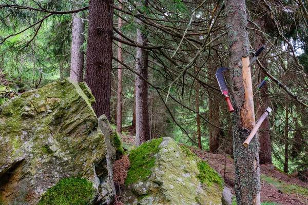 Viejas herramientas de trabajo de madera en el bosque — Foto de Stock