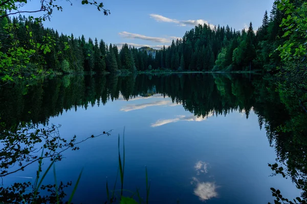 Mirroring lake in the forest — Stock Photo, Image