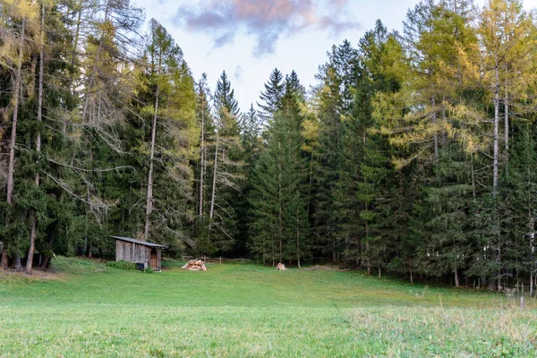 Cabaña en el bosque — Foto de Stock