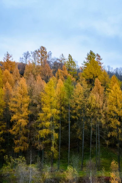 Una vista autunnale sulle Alpi — Foto Stock