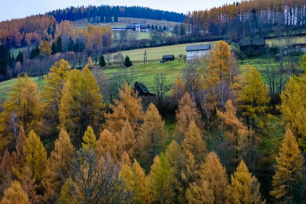 Ein Herbstblick in den Alpen — Stockfoto