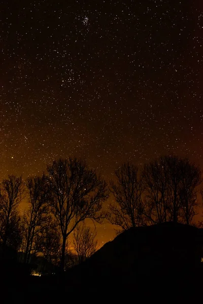 Hemel Zicht Een Heldere Nacht Met Enkele Bomen Voorgrond — Stockfoto