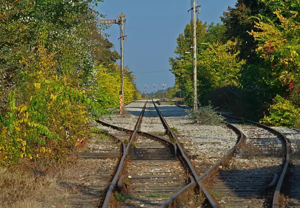 Prázdné železniční koleje se zelení na obou stranách — Stock fotografie