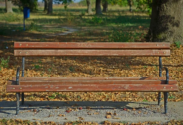 Widok z przodu na brązową ławkę na czerwonych cegłach z naturą za nim — Zdjęcie stockowe