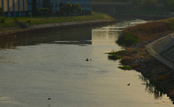 Blick auf den Fluss Begej in Zrenjanin, Serbien — Stockfoto