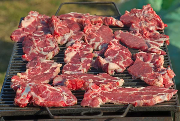 Vers varkensvlees geroosterd op barbecue — Stockfoto