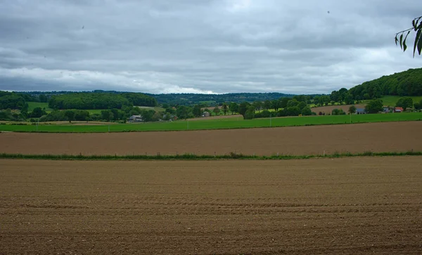 Champ agricole avec de petits cors poussant et ciel nuageux — Photo