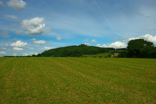 Yeşil çayır mavi gökyüzü ve küçük tepe — Stok fotoğraf
