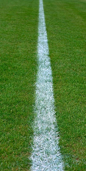 Painted white line on empty soccer grass field — 스톡 사진