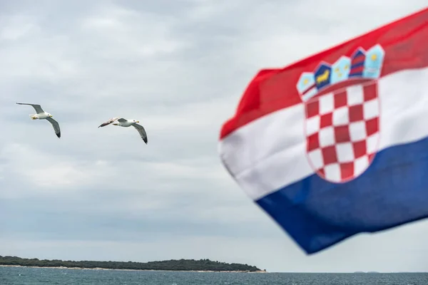 Bandeira Croata Soprando Vento Gaivotas Ilhas Brijuni — Fotografia de Stock