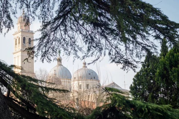 Basílica Santo Antônio Pádua Emoldurada Por Árvores Basílica Sant Antonio — Fotografia de Stock