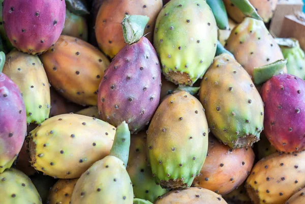 Prickly Pears Background Focus Front Image Shallow Depth Field — Stock Photo, Image