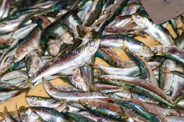 Свіжі Сардини Риби Ринку Впритул — стокове фото