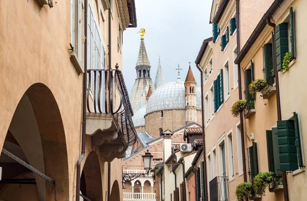 Pontificia Basílica San Antonio Padua Basilica Sant Antonio Padova Padua — Foto de Stock