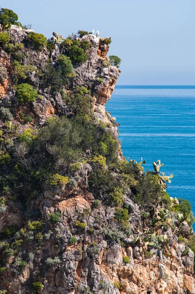 Faraglioni Tonnara Scopello Sicilië Italië Europa — Stockfoto