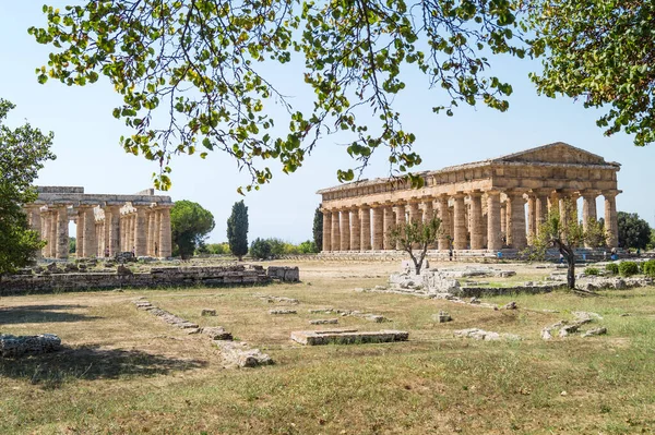 古代都市パエストゥム チレント イタリアの遺跡でギリシアの神殿 — ストック写真