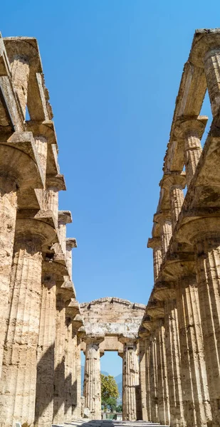 Klasycznej Greckiej Świątyni Ruinach Starożytnego Miasta Paestum Cilento Włochy — Zdjęcie stockowe