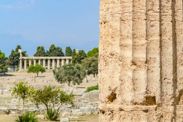 古代都市パエストゥム チレント イタリアの遺跡でギリシアの神殿 — ストック写真