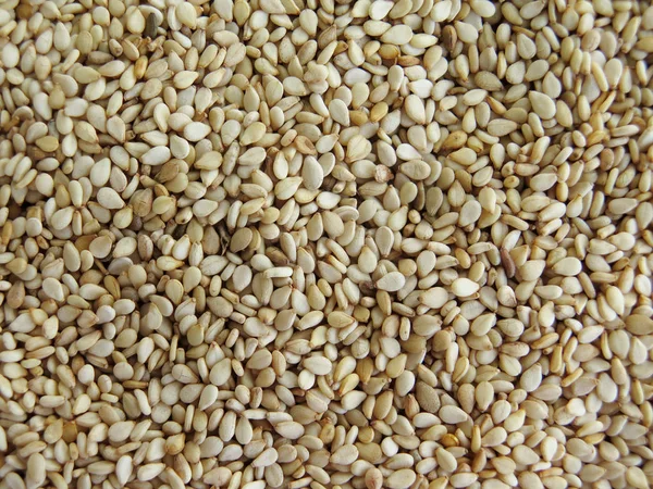 Sesame Seeds Background — Stock Photo, Image