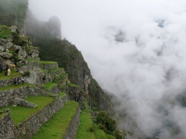 Teras ve eski evler Machu Picchu