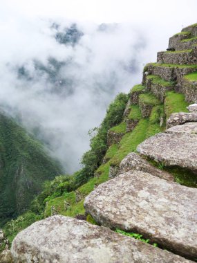 Teras ve eski evler Machu Picchu