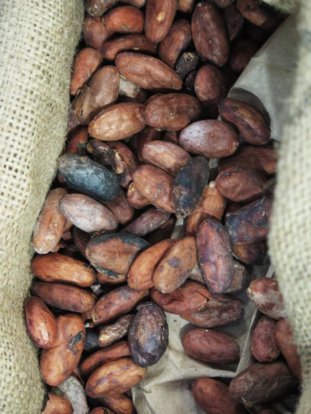 Granos de cacao fondo — Foto de Stock